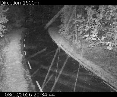 Webcam Puy-Saint-Vincent, route de 1600 (D804)