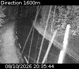 Webcam Puy-Saint-Vincent, route de 1600 (D804)